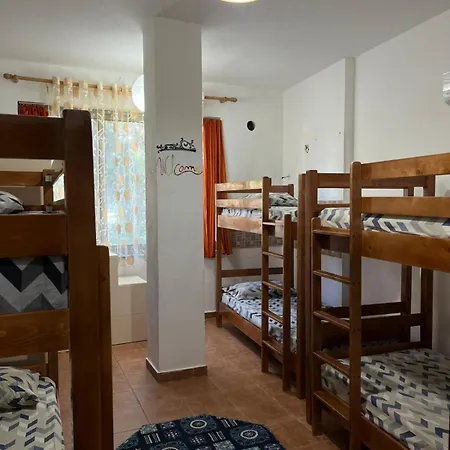 Hostel Traveler 2